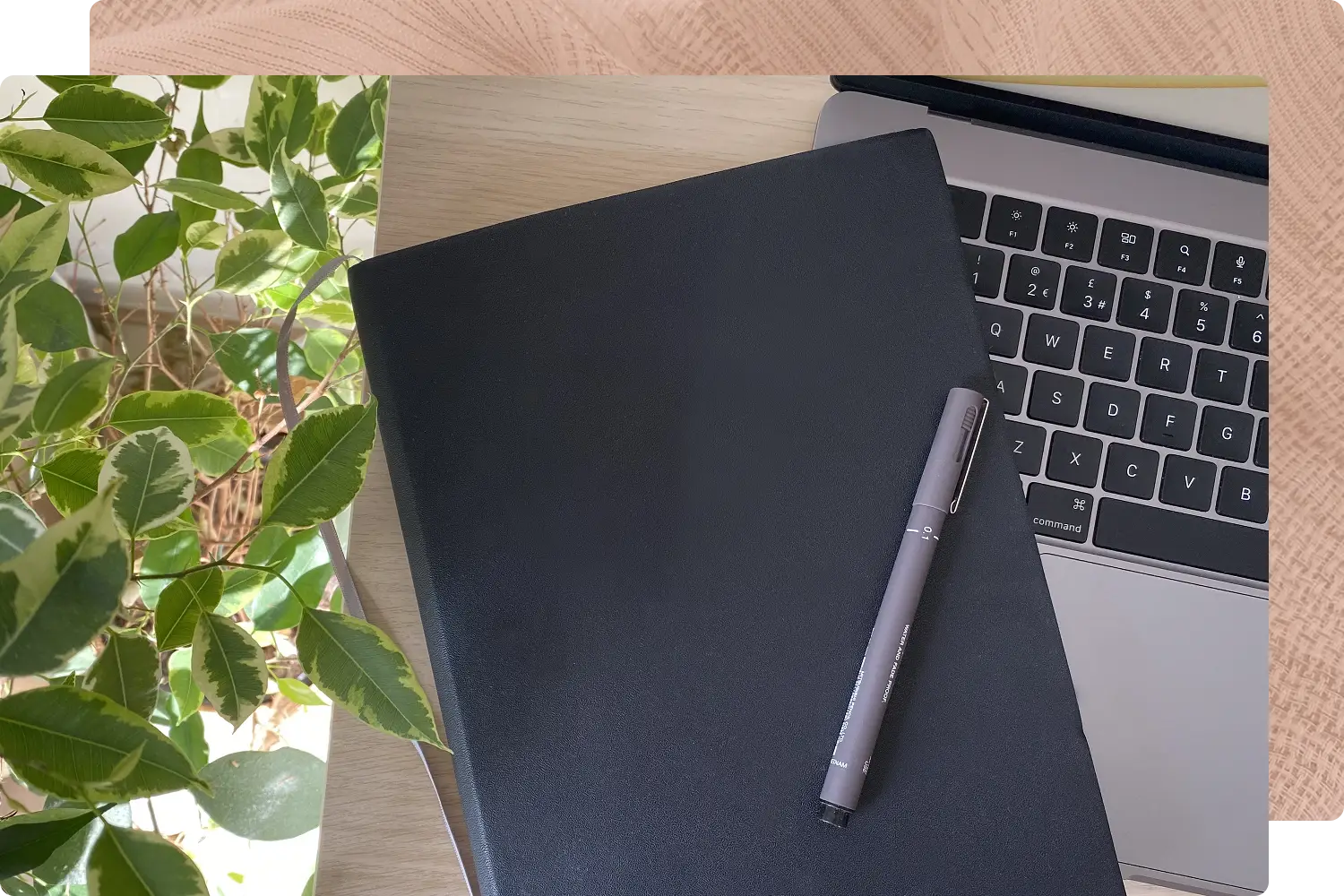 A laptop, black notebook, and pen on a wooden desk with a green leaf plant next to the desk.